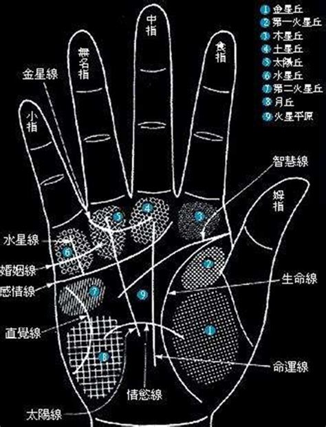 手掌痣位置|手掌痣相位置图 痣在手掌的吉凶寓意